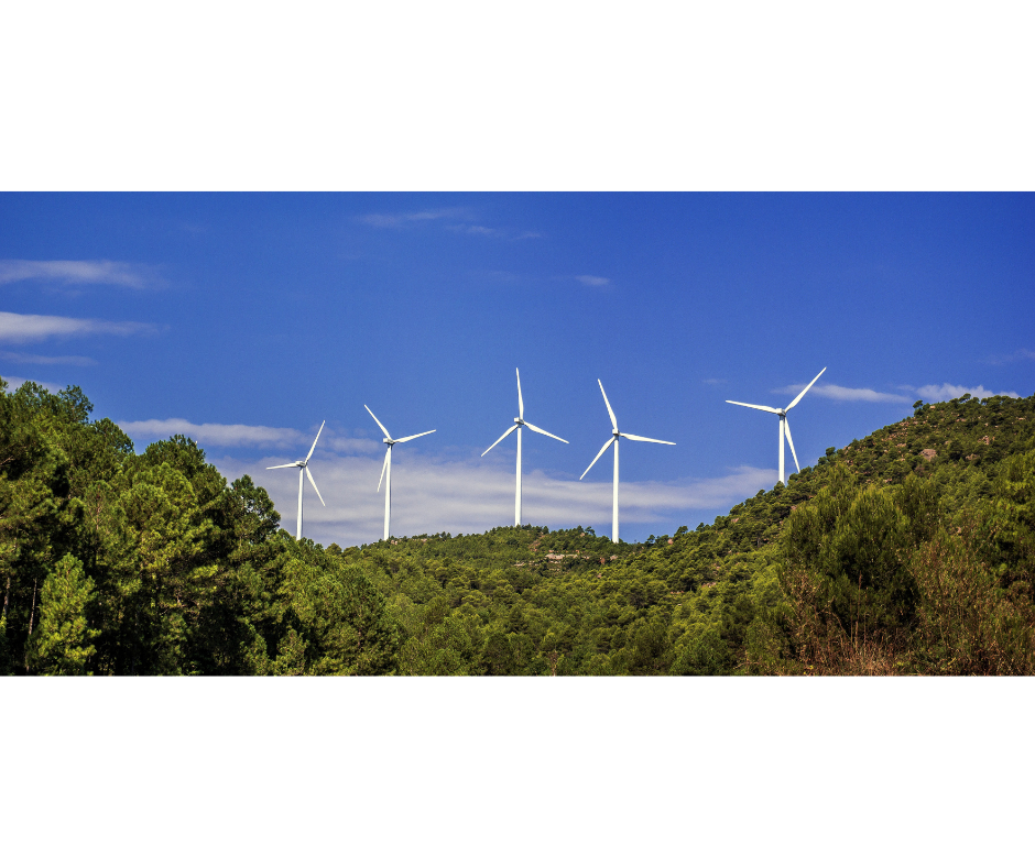 Untitled design _71_